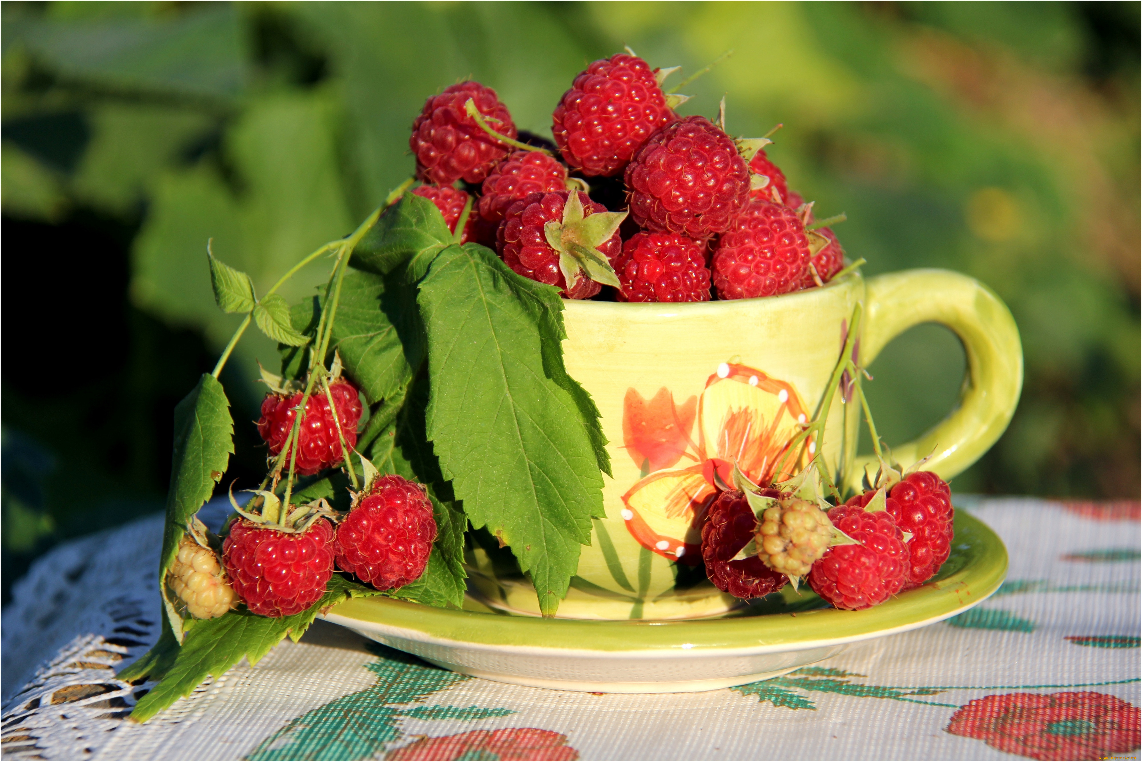 Картинки с днем утра. Доброе летнее утро. Доброе утро лето. Открытки с ягодами. Открытки с добрым утром летние.